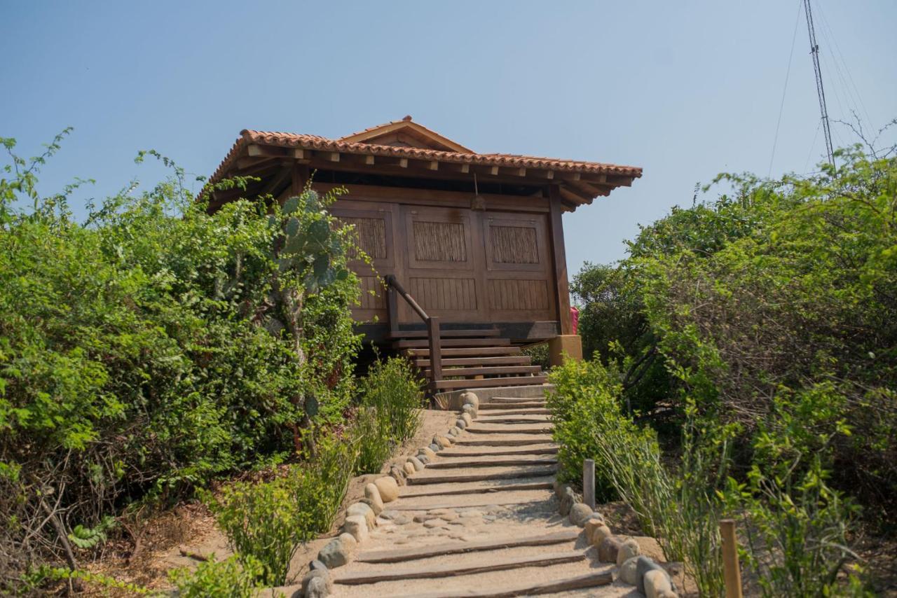 Playa Viva 호텔 Juluchuca 외부 사진
