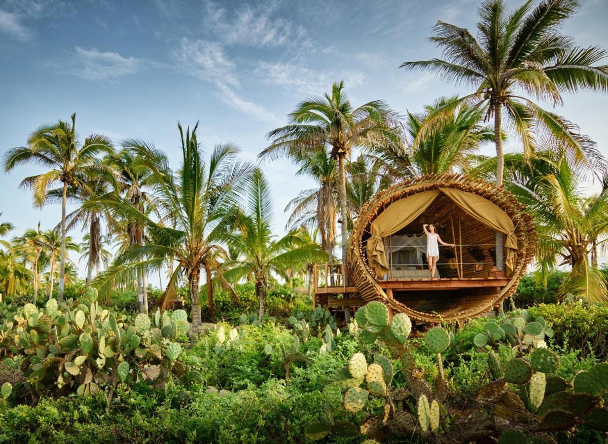 Playa Viva 호텔 Juluchuca 외부 사진